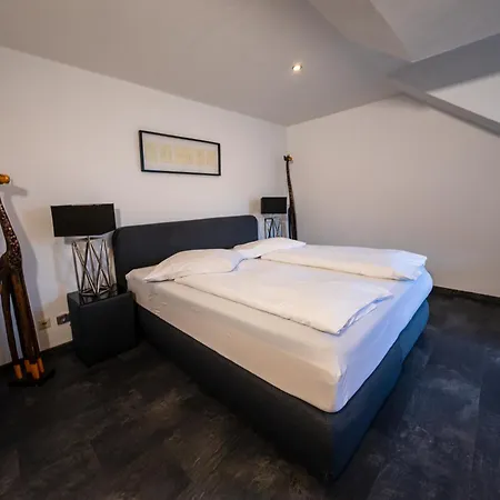 Baumberger Rheinterrassen Hotel 3*