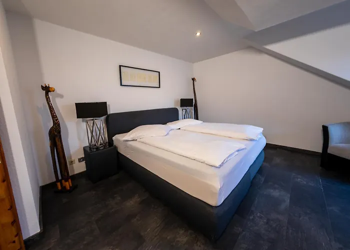 Baumberger Rheinterrassen Otel 3*